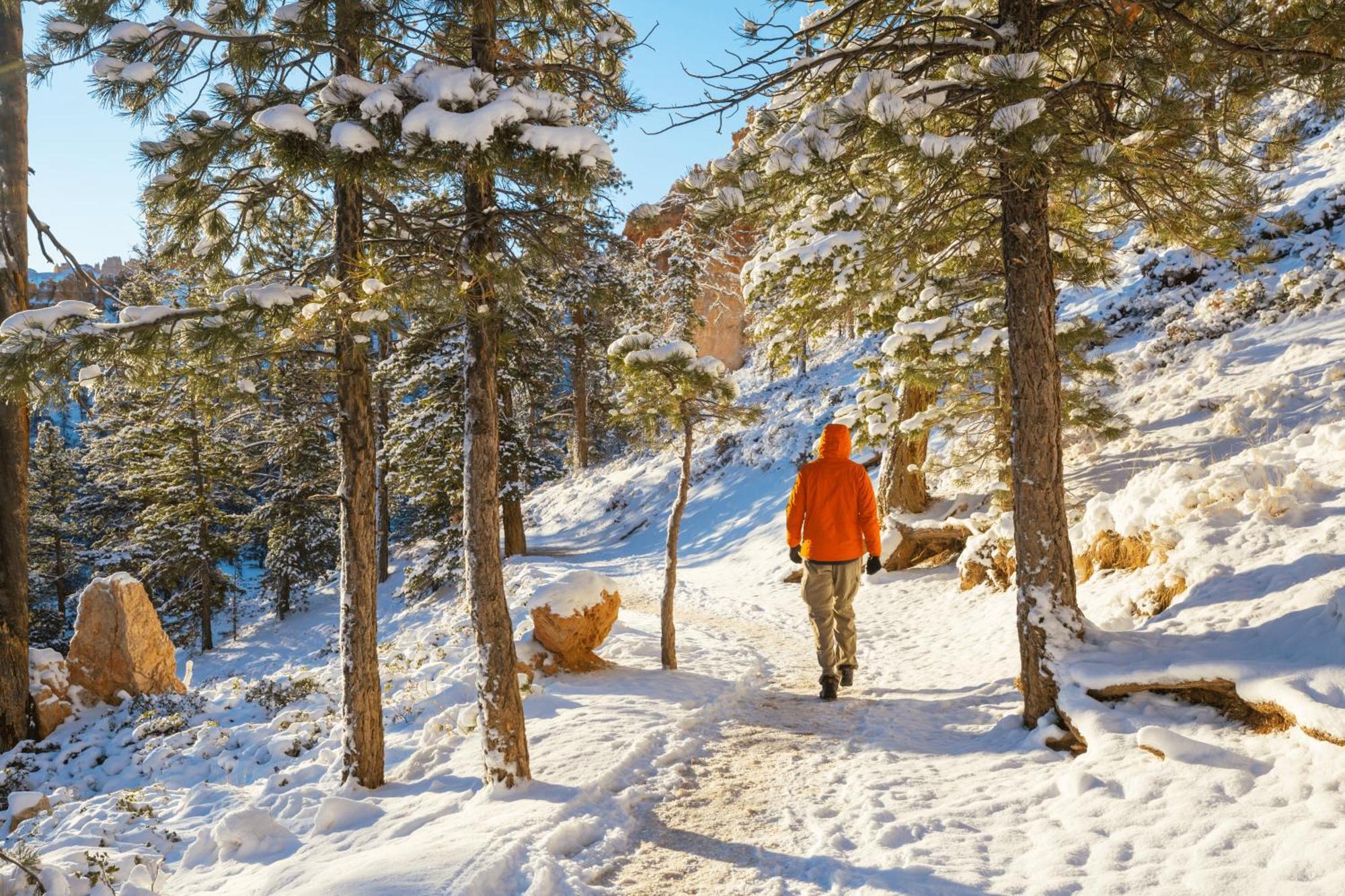 Charmant T3 Avec Vue Montagne Et Parking Privatif Font-Romeu-Odeillo-Via Exterior photo